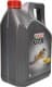 Castrol GTX 5W-30 (4 л) моторна олива