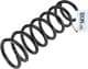 2010-1370 Profit Пружина подвески