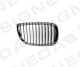 pbm07028gar Signeda Решетка радиатора для BMW 1 Series
