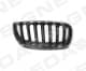 pbm07040gbr Signeda Решітка радіатора для BMW X3