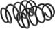 sr031tp RAISO Пружина підвіски для Audi 100