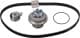 VKMC 05402 SKF Комплект ремня ГРМ + помпа