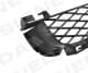 PBM07096GAR Signeda Решетка радиатора для BMW X5