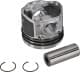 87-124008-00 Nüral Поршень двигателя