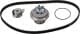 VKMC 05402 SKF Комплект ремня ГРМ + помпа