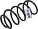 2010-0001 Profit Пружина підвіски