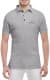 Футболка чоловіча Globuspioner поло Mercedes AMG сіра принт спереду