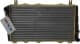 16100279001 Vika Радіатор охолодження двигуна