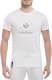 Футболка мужская Globuspioner классическая Renault Logo Silver белый спереди