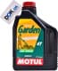 4T Motul Garden 15W-40, 2 л (835002) моторна олива 4T