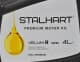 Олива Stalhart Velum R 5W-30