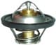 352317100860 Magneti Marelli Термостат
