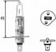 Автолампа Behr Hella Standard H1 P14,5s 70 W прозора 8gh002089251