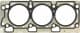 61-10042-00 Reinz Прокладка ГБЦ