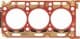 611009520 Reinz Прокладка ГБЦ