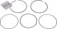 028rs101010v0 Mahle Комплект поршневых колец