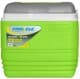 Термобокс Pinnacle Eskimo 8906053369700YELLOW 32 л