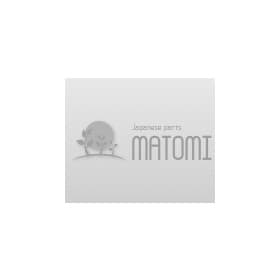 Натяжной ролик поликлинового ремня Matomi pull1810