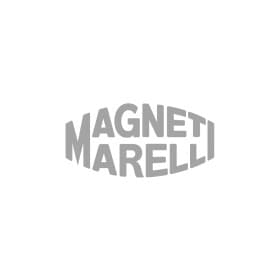 Пружина натяжного ролика ремня ГРМ Magneti Marelli 331316170681