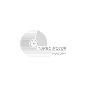 Турбина Turbo Motor PA4917307500
