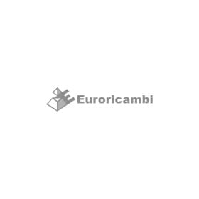 Уплотняющее кольцо сливной пробки Euroricambi 95531568