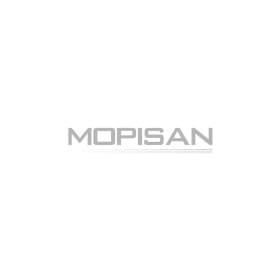 Поршень двигателя Mopisan 1027548000