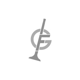 Впускной клапан Gieffe 3014