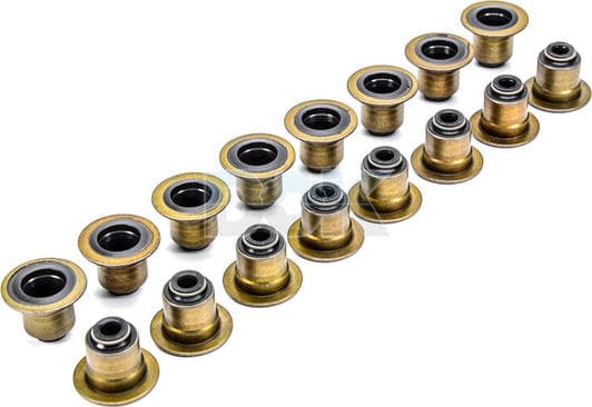 70-35549-00 Reinz Сальник клапана