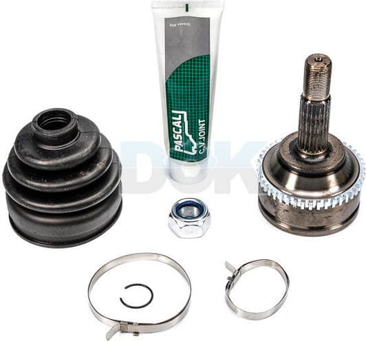 G1R010PC Pascal ШРУС