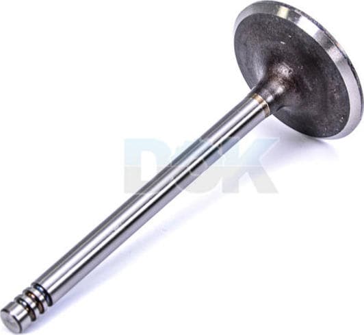 V91189 AE Впускной клапан