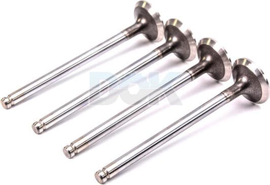 R4231/RCR Freccia Выпускной клапан