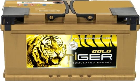 Акумулятор Tiger 6 CT-100-R Gold AFS100G00
