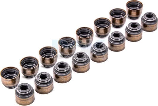 19036072 Corteco Комплект сальников клапанов