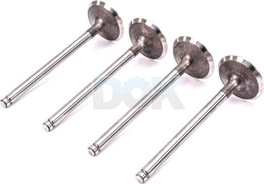 R6110/S Freccia Впускной клапан