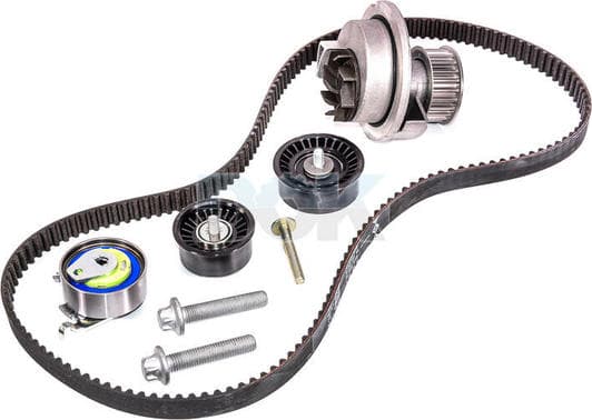 530 0441 31 INA Комплект ремня ГРМ + помпа