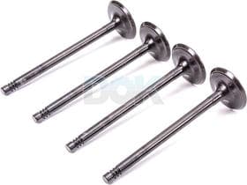 Впускной клапан