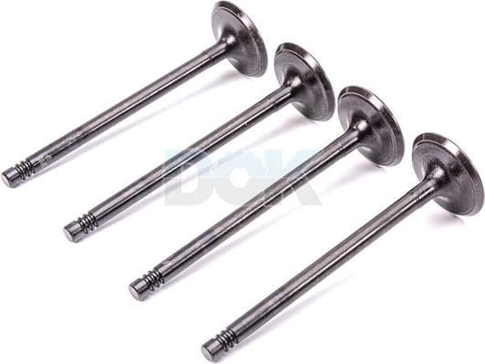 V95013 AE Впускний клапан