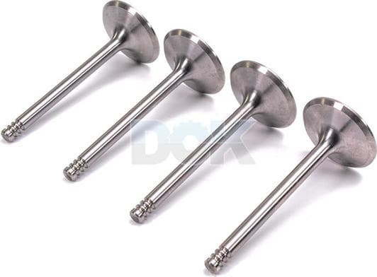 R4806/S Freccia Впускной клапан