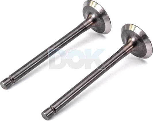 R6122/RNT Freccia Випускний клапан