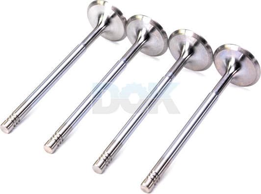 R6413/SCR Freccia Впускной клапан