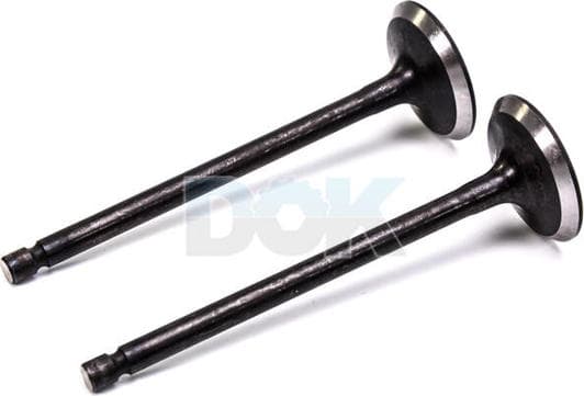 R6407/SNT Freccia Впускной клапан