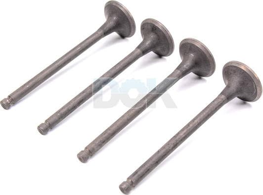 R4922/RNT Freccia Випускний клапан