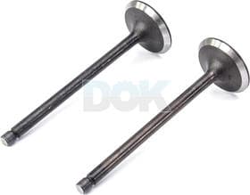 Впускной клапан