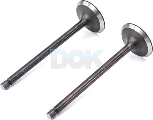 R6121/SNT Freccia Впускной клапан