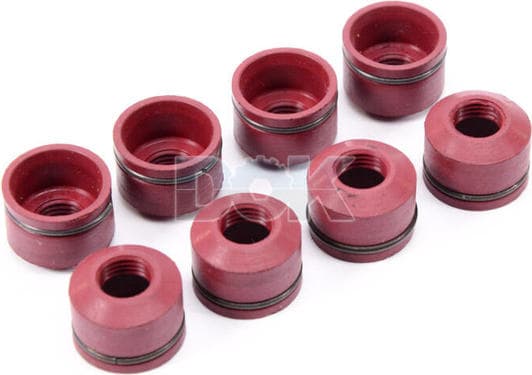 50-305908-10 Goetze Сальник клапана