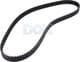 CT909 Contitech Ремень ГРМ