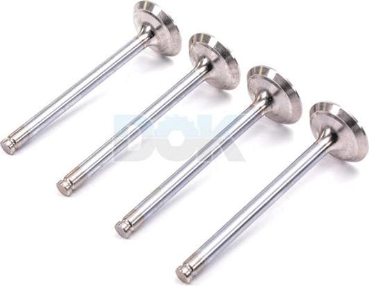 R4293/RCR Freccia Выпускной клапан