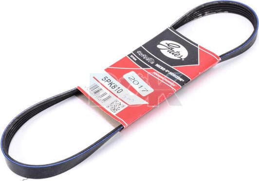 5PK810 Gates Поліклиновий ремінь