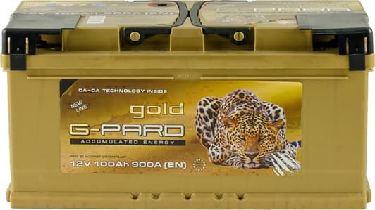Аккумулятор G-Pard 6 CT-100-R Gold TRC100G00