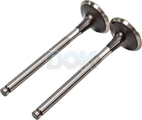 Випускний клапан